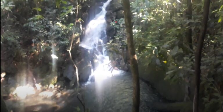 Trilha da cachoeira da Prainha Branca