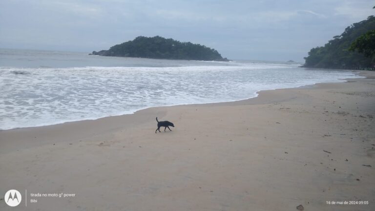 Prainha Branca Hoje 16/05/2024